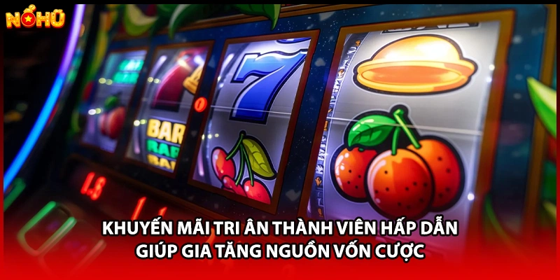 Khuyến mãi tri ân thành viên hấp dẫn giúp gia tăng nguồn vốn cược 